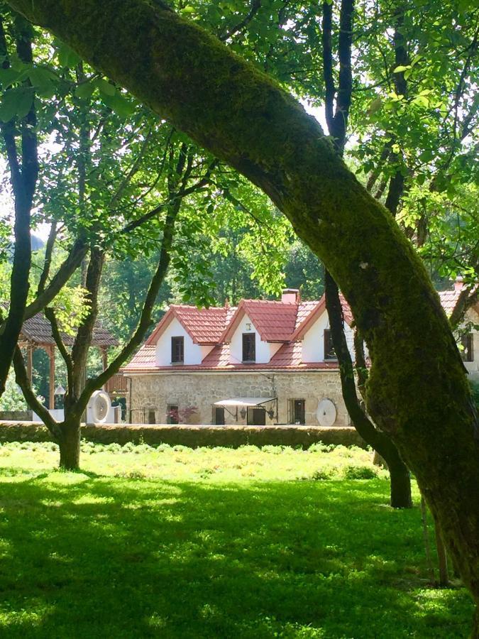 Casa Dos Moinhos Do Chao Do Mosteiro Hotell São Pedro do Sul Eksteriør bilde